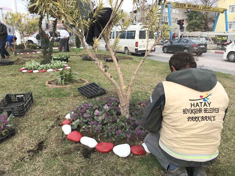 HATAY ÇİÇEK AÇIYOR