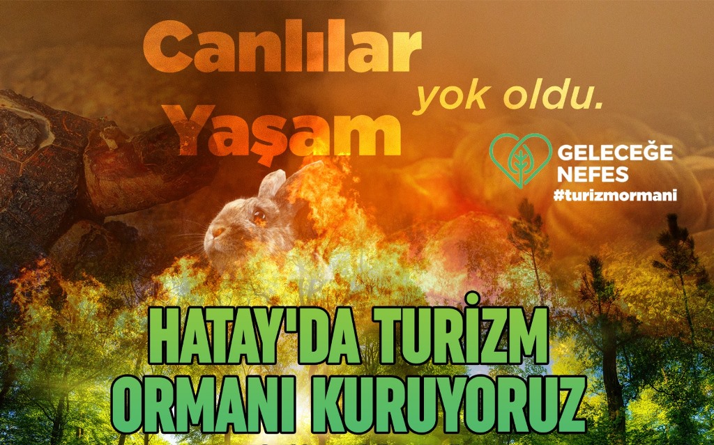 HATAY’DA TURİZM ORMANI KURUYORUZ, HEDEF 100 BİN AĞAÇ!