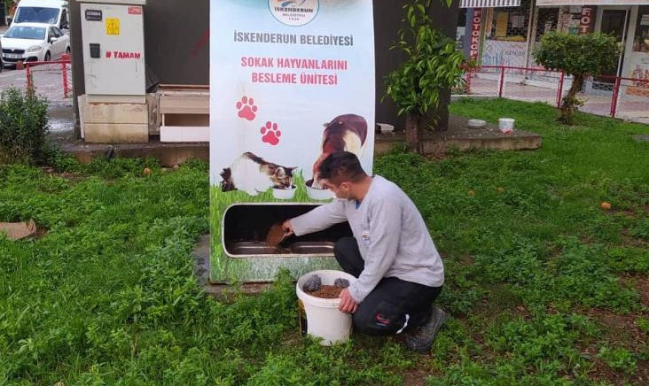 İSKENDERUN BELEDİYESİ SOKAK HAYVANLARINI UNUTMUYOR