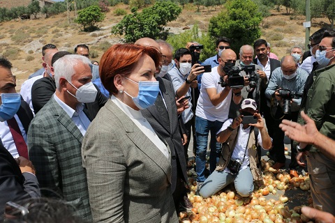 ÜRETİCİ, SOĞANI YOLA DÖKTÜ!