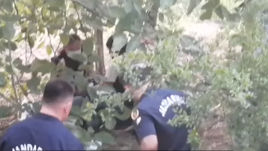 Altınözü’nde kayıp ağaçta asılı halde bulundu!