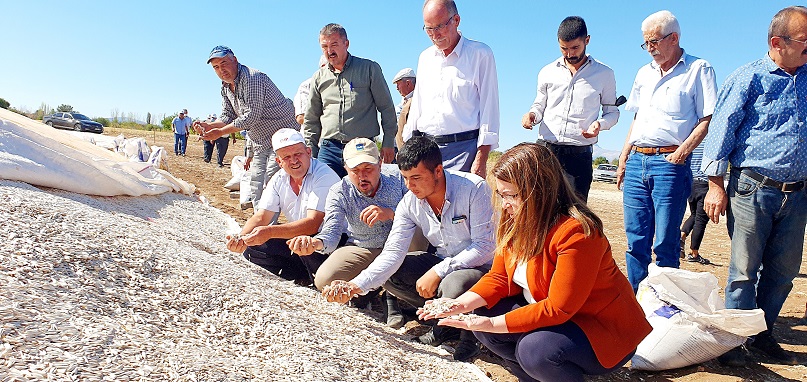 Karaca: Çerezlik beyaz çekirdek üretimi yapan çiftçilerimiz için taban fiyat mutlaka açıklanmalı