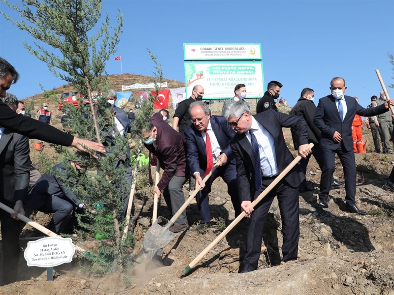 Hatay’da ağaçlandırma seferberliği