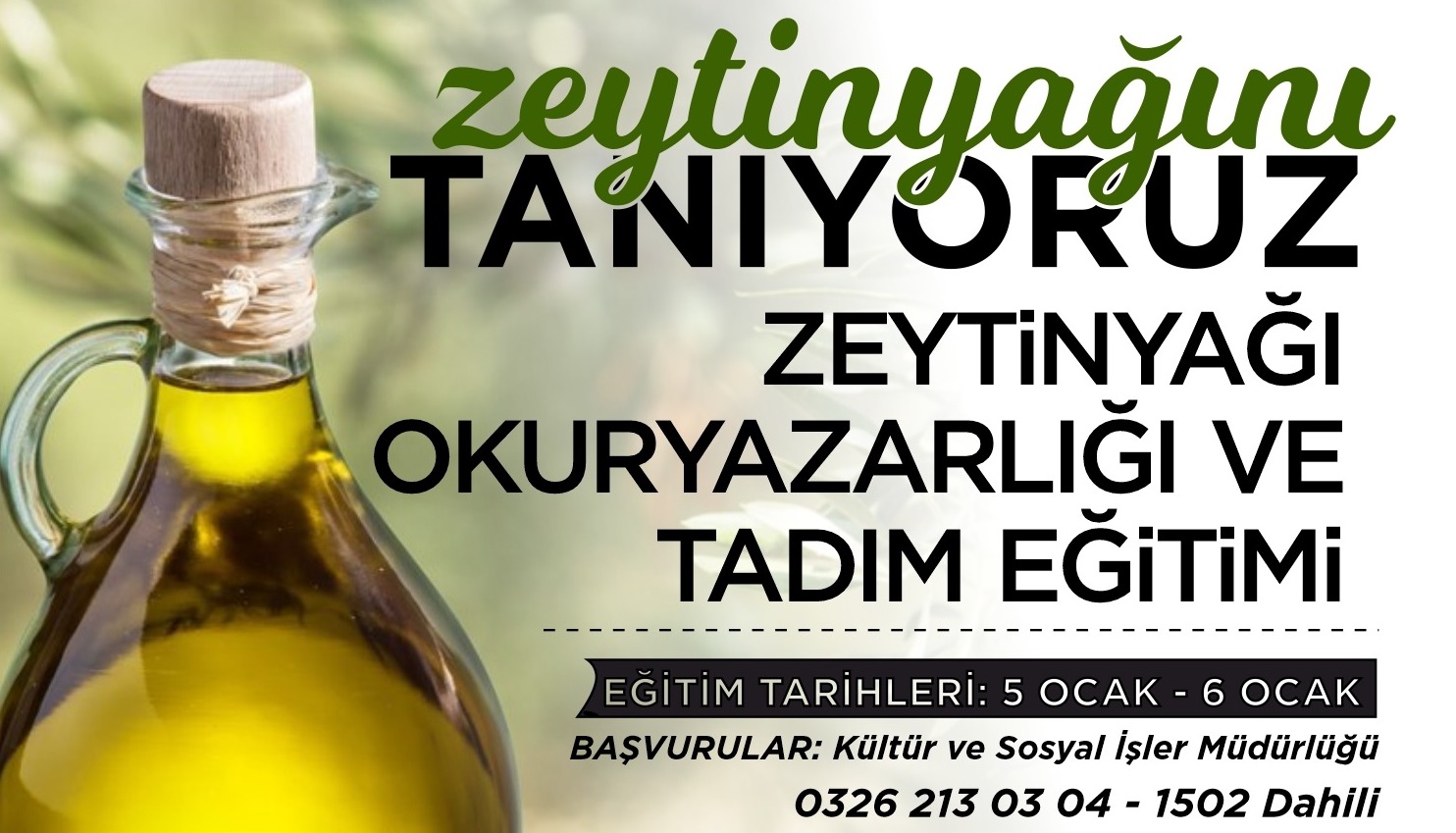 Zeytinyağı Tadım Eğitimi başlıyor