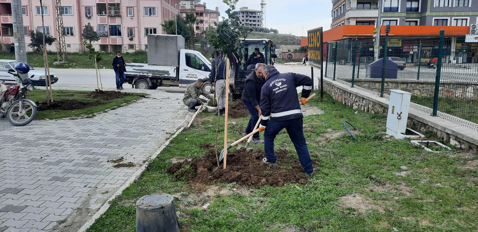 Antakya Belediyesi, ağaçlandırma çalışmalarına devam ediyor
