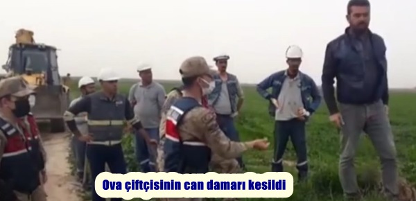 Ova çiftçisinin can damarı kesildi