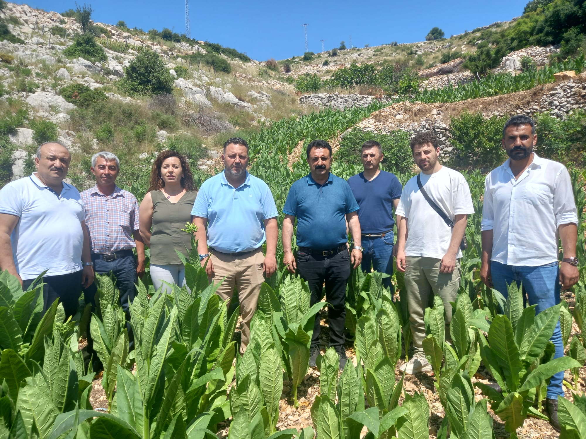 SOLGUN: HER ZAMAN TÜTÜN ÜRETİCİMİZİN YANINDAYIZ
