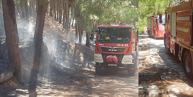 HBB itfaiyesinden orman yangınına anında müdahale