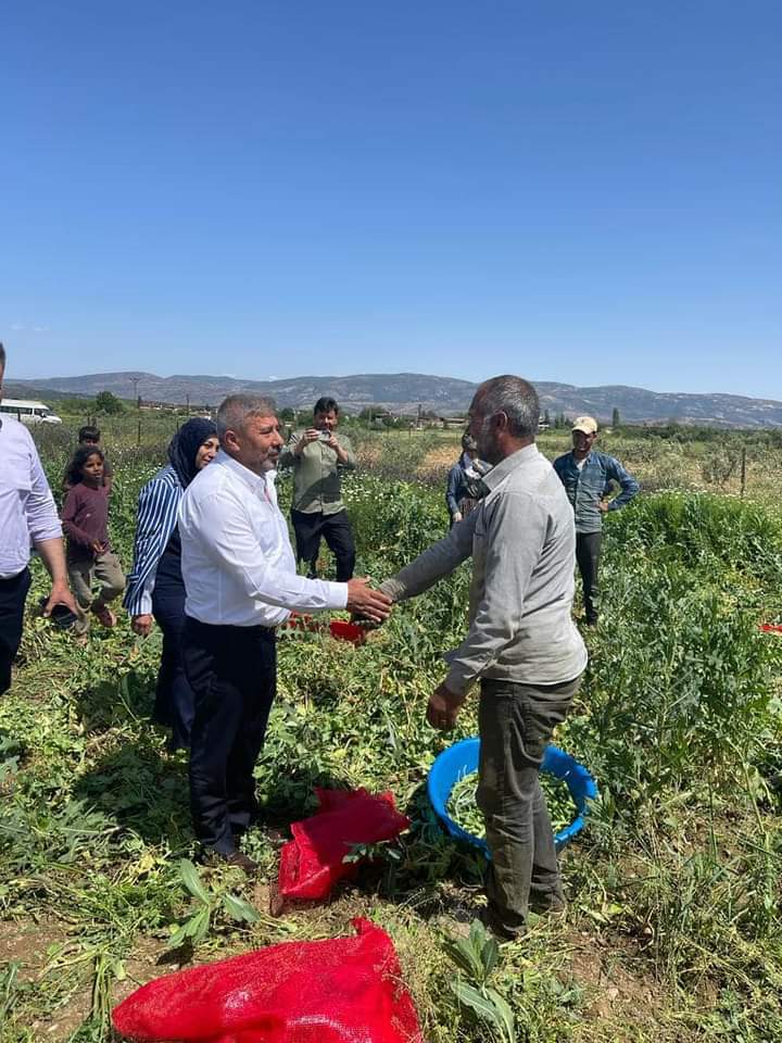 Hikmet Hatunoğlu’ndan Hassa Çıkarması