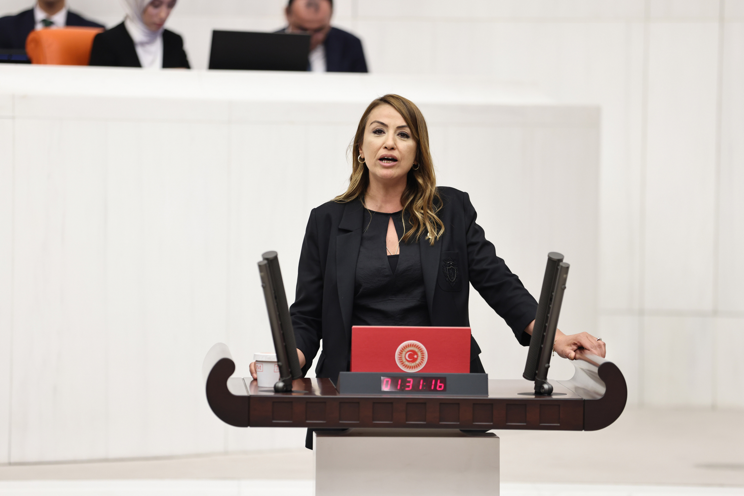 NERMİN YILDIRIM KARA:”İSKENDERUN SAHİLİNDEKİ SU BASKINLARININ ASIL NEDENİNİN DENİZ TAŞMASI DEĞİL, İHMÂLKARLIK VE RANT DÜZENİ OLDUĞUNU SÖYLEDİ”