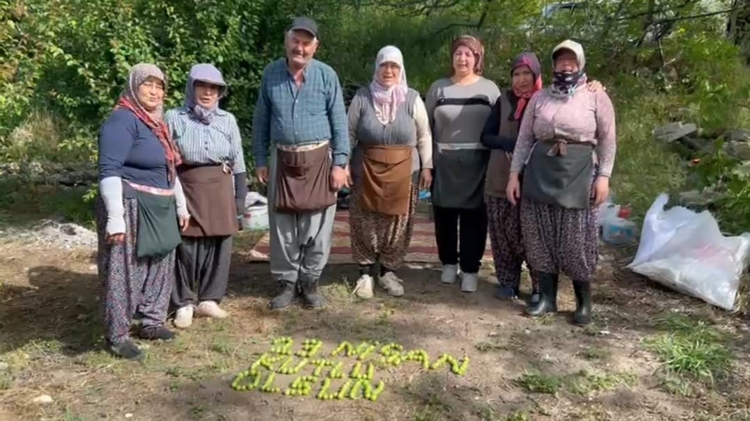 Tarım işçileri 23 Nisan’ı erik hasadı yaparken kutladılar