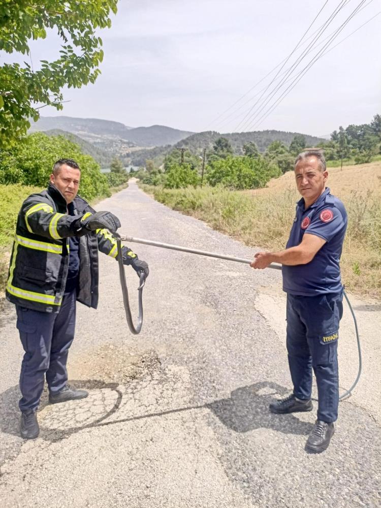 Yayladağ’da itfaiye ekipleri ağlarda mahsur kalan yılanı kurtardı